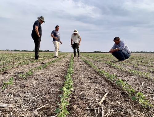 Empresas familiares rurales cómo hacer para trascender y no abandonar