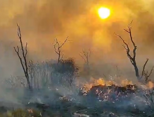 Incendios en La Pampa productores y entidades piden asistencia y el Banco Nación analiza ayuda crediticia