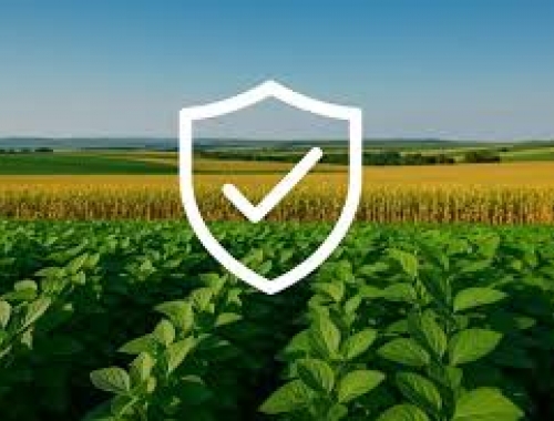 Córdoba pone en marcha un Seguro Multirriesgo Agrícola inédito a nivel nacional