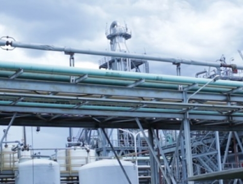 La consolidación del aceite de soja como activo bioenergético contribuye a sostener la competitividad del negocio oleaginoso