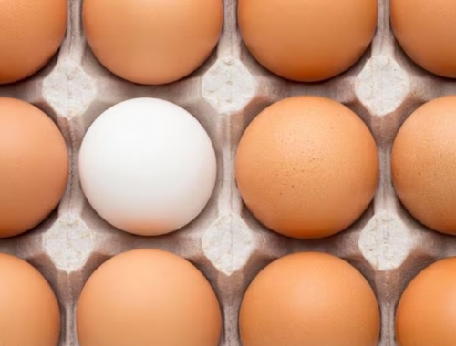 Un año récord terminó con una señal de alerta para el negocio del huevo