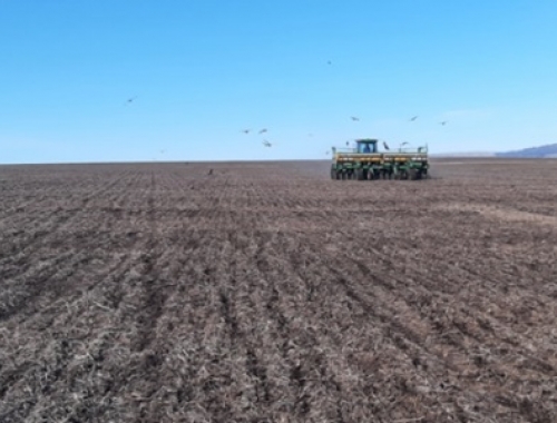 Coninagro actualizó su radiografía del agro. Más actividades en rojo y señales mixtas en la economía del sector