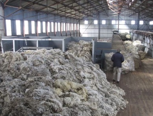 En la Patagonia, los productores ovinos apoyan la desregulación de las exportaciones