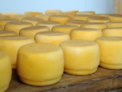 El curioso motivo por el que varios quesos tendrán que cambiar de nombre por el acuerdo Mercosur-Unión Europea