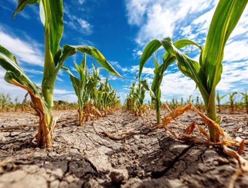 EnBio vuelve con un nuevo formato