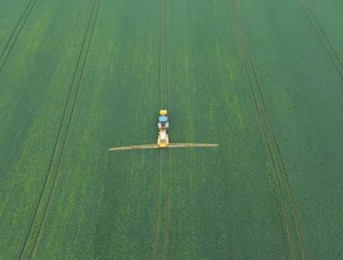 La Corte bonaerense suspendió ordenanzas sobre fumigaciones en Tandil y Rauch