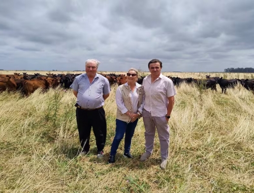 Éxito en 1000 hectáreas superó el escepticismo de una zona y dio un batacazo con la carne