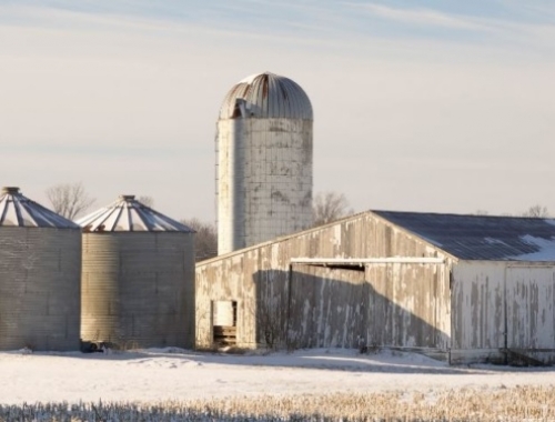Los productores de soja de EE.UU. aseguran que perderán 185 u$s/ha a pesar de recibir un paquete extraordinario de subsidios