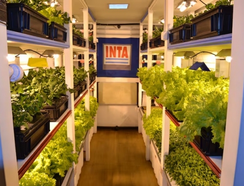 Motosierra recomiendan al Gobierno una fuerte reforma del INTA