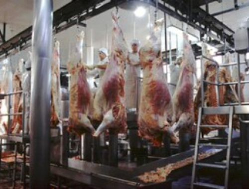 Carnes: el 2026 arranca con mercados renovados