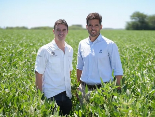 El partido de la soja un experto explicó cómo la Argentina puede achicar una brecha con Brasil