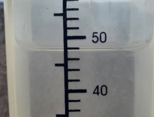 Alerta en el campo continúan las lluvias y anticipan nuevos temporales con más de 100 mm en zonas productivas