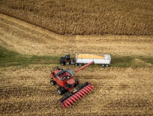 Petróleo en alza y cosecha en marcha la guerra en Medio Oriente golpea en el peor momento al agro argentino