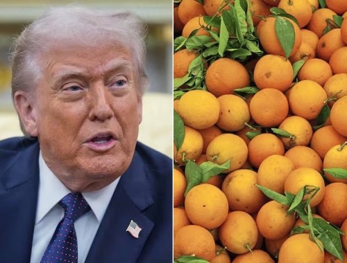 Exportarían 20.000 toneladas aceleran gestiones para que Estados Unidos abra su mercado a los cítricos dulces