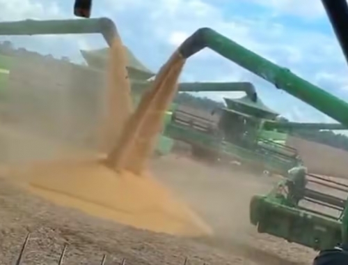 Una vergüenza la cosecha récord de soja en Brasil desbordó la logística y generó filas de camiones de hasta 30 kilómetros