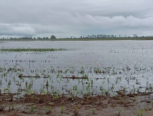 Temen más lluvias el agua en Tucumán golpeó con todo en la infraestructura rural