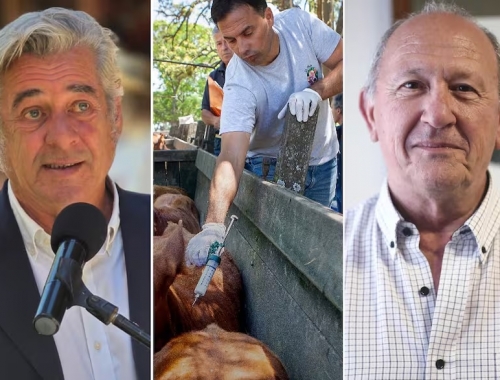 Cambios en la vacuna contra la aftosa el campo se divide por una medida del Gobierno que promete bajar costos