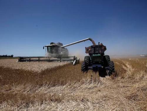 Boom del agro o recuperación El debate por las proyecciones de Caputo y el futuro del campo