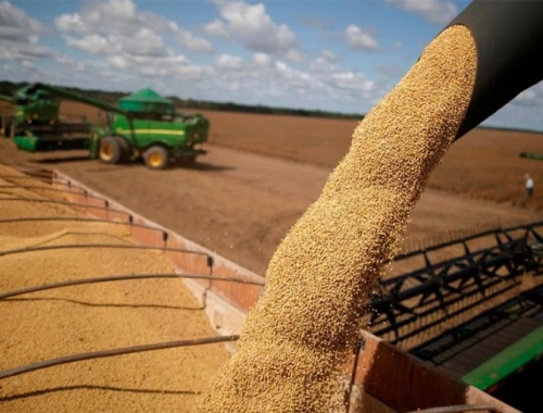 Exportaciones récord del agro: el campo argentino embarcó 29 millones de toneladas en el primer trimestre de 2026