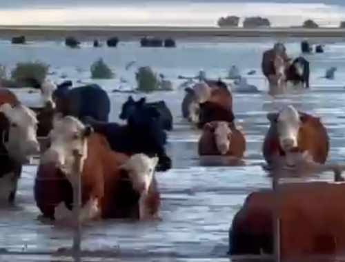 Asusta cayeron hasta 200 mm en seis horas, una región bonaerense colapsó y temen otra supertormenta