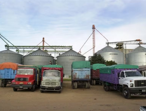 En un escenario global difícil también se pueden tomar decisiones estratégicas