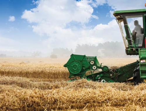 Primeros cálculos la próxima campaña de trigo se enfrenta a números al límite o en rojo El salto de los fertilizantes dejó 