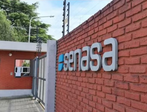 Exportaciones temen que se cierren mercados en ovinos y subproductos cárnicos por una enfermedad que investiga el Senasa