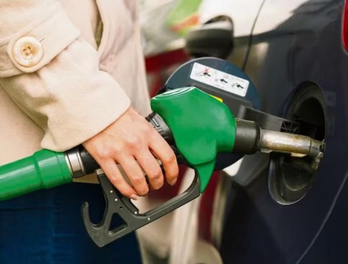 Biocombustibles la industria del agro que quiere una nueva ley para crecer