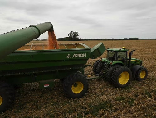 US$1000 millones extra mejoró una variable muy importante para el país