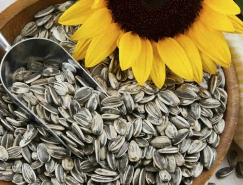 Tiene gran demanda un cultivo se perfila para generar US$5000 millones en tres años y ser la cuarta industria exportadora