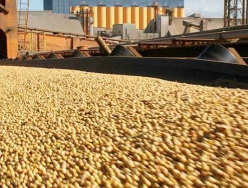 El Complejo Agroindustrial reporta exportaciones por USD 12.218 millones en el primer trimestre de 2026