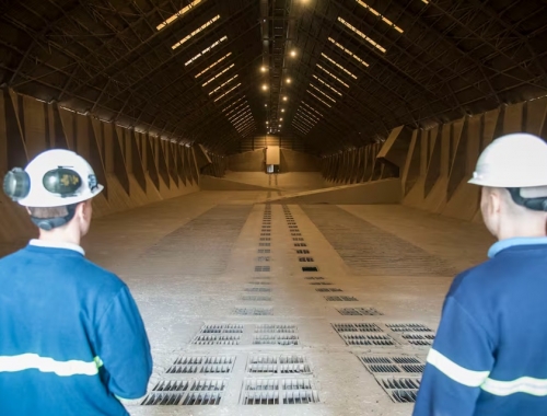 Preocupación por alertas de la Unión Europea detectó una soja argentina no aprobada en ese mercado