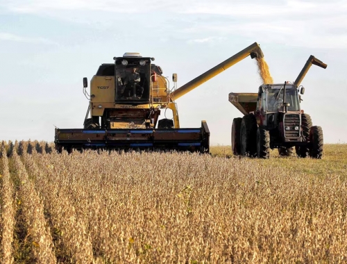 El Gobierno estimó una cosecha récord de 163,3 millones de toneladas