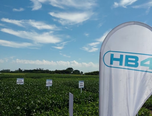 Brasil cuestionó el proceso de detección en Europa de una soja argentina no aprobada en ese mercado