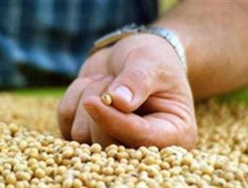 El Gobierno le presentó al campo un nuevo esquema para la fiscalización en semillas