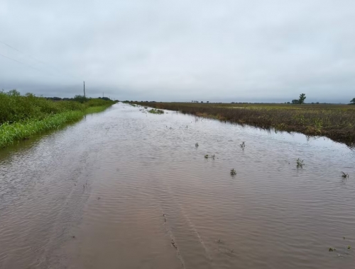 Nos barrió el campo desolación, miedo a perderlo todo y bronca de los productores en el norte de Santa Fe