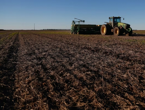 Trigo hay suficiente humedad para sembrar y precios razonables, pero los altos costos erosionan los márgenes netos