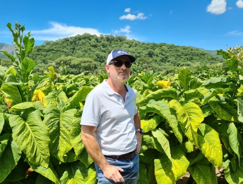 Denuncian que el contrabando de cigarrillos puso en vilo el negocio de producir tabaco