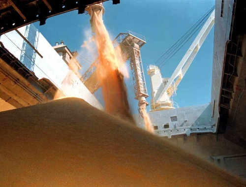 El aceite de soja alcanzó el precio más alto en casi cuatro años