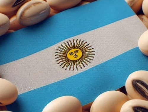 Poroto multipropósito La soja argentina está contribuyendo a mantener a raya el precio del gasoil y cuidar los márgenes de las compañías petroleras