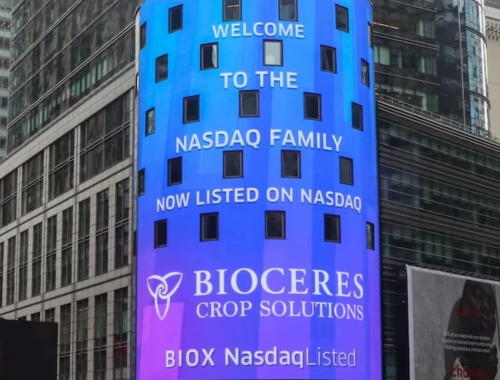 Bioceres denunció una presunta estafa por US$12 millones en acciones y apuntó contra una exejecutiva