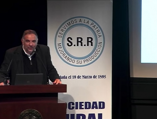 Con precios récord la ganadería argentina busca aprovechar el ciclo favorable