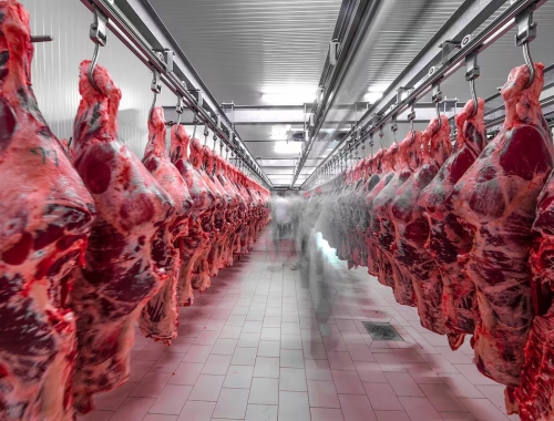 Aluvión de dólares la Argentina exportó carne vacuna a un precio récord y en solo cinco meses ingresaron más de US$1800 millones