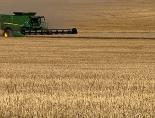 El agro impulsa el PIB: la economía creció 2,3% en el primer trimestre