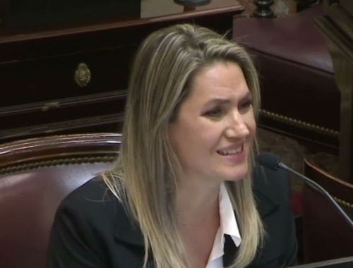 Losada: “La Ley de Tierras se aprobaría en agosto”