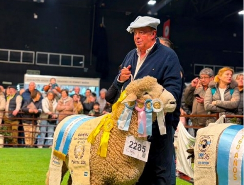 Una cabaña de Corrientes ganó el Gran Campeón Romney Marsh en Palermo