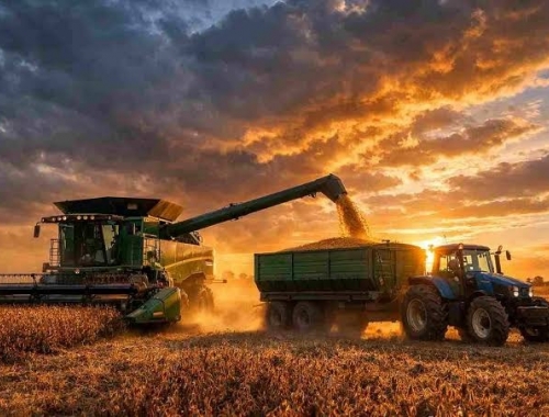 La cadena agropecuaria creció 3% en junio y marcó un nuevo récord de actividad