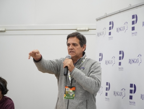 Rosgan cerró los remates de Aapresid con 1.500 cabezas y precios firmes para la hacienda