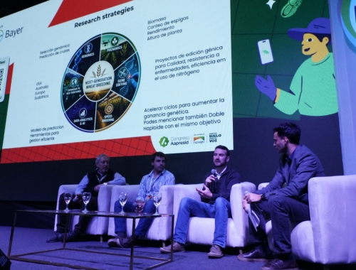 Trigos híbridos, edición génica y genotipos: las nuevas apuestas para cerrar brechas de rendimiento