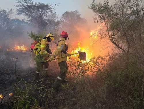 El campo pidió reabrir el debate por la Ley de Manejo del Fuego tras el retiro del proyecto de propiedad privada